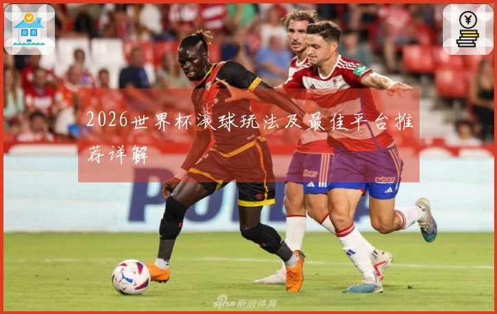 2026世界杯滚球玩法及最佳平台推荐详解
