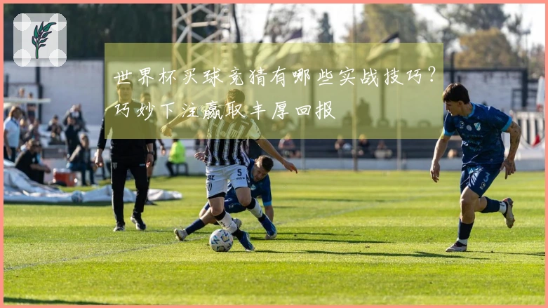 世界杯买球竞猜有哪些实战技巧？巧妙下注赢取丰厚回报