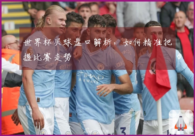 世界杯买球盘口解析，如何精准把握比赛走势