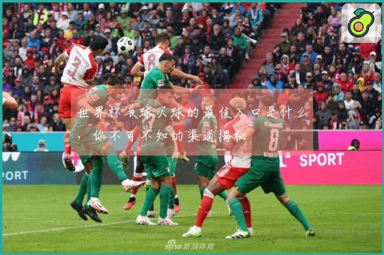 世界杯滚球买球的最佳入口是什么，你不可不知的渠道揭秘