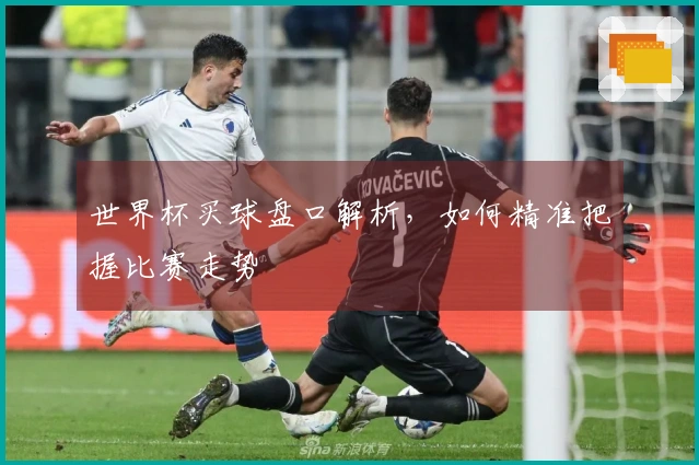 世界杯买球盘口解析，如何精准把握比赛走势