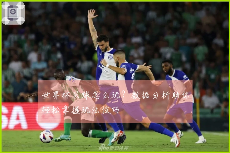 世界杯买球怎么玩？数据分析助你轻松掌握玩法技巧