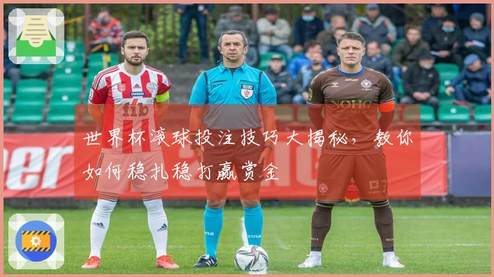 世界杯滚球投注技巧大揭秘，教你如何稳扎稳打赢赏金