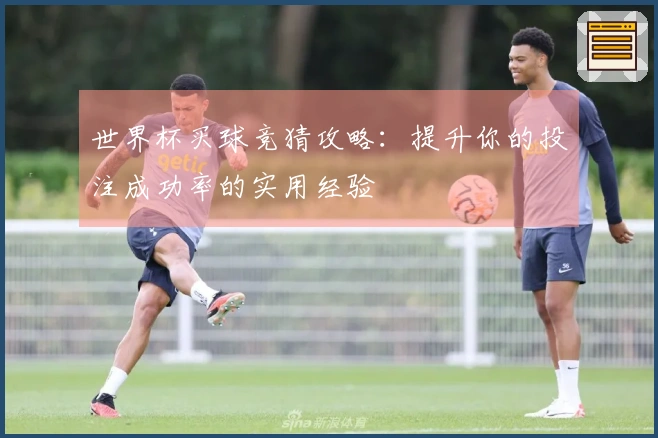 世界杯买球竞猜攻略：提升你的投注成功率的实用经验