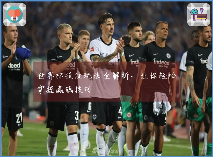 世界杯投注玩法全解析，让你轻松掌握赢钱技巧