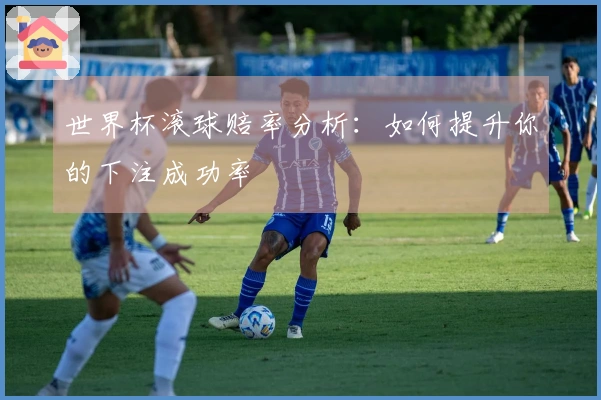 世界杯滚球赔率分析：如何提升你的下注成功率
