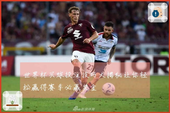 世界杯买球投注技巧大揭秘让你轻松赢得赛季必赢奖金