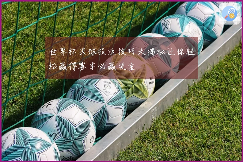 世界杯买球投注技巧大揭秘让你轻松赢得赛季必赢奖金