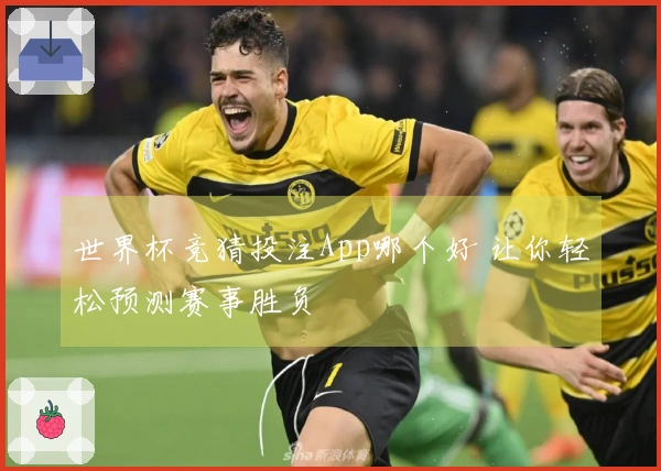 世界杯竞猜投注App哪个好 让你轻松预测赛事胜负