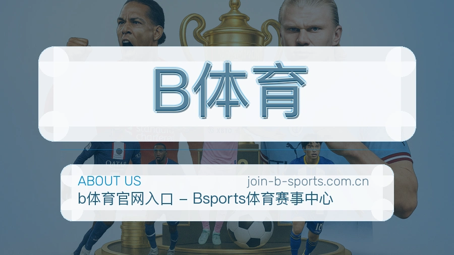 关于 B体育